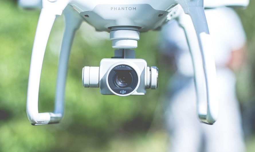 Ce este controlul antifraudă și cum se desfășoară