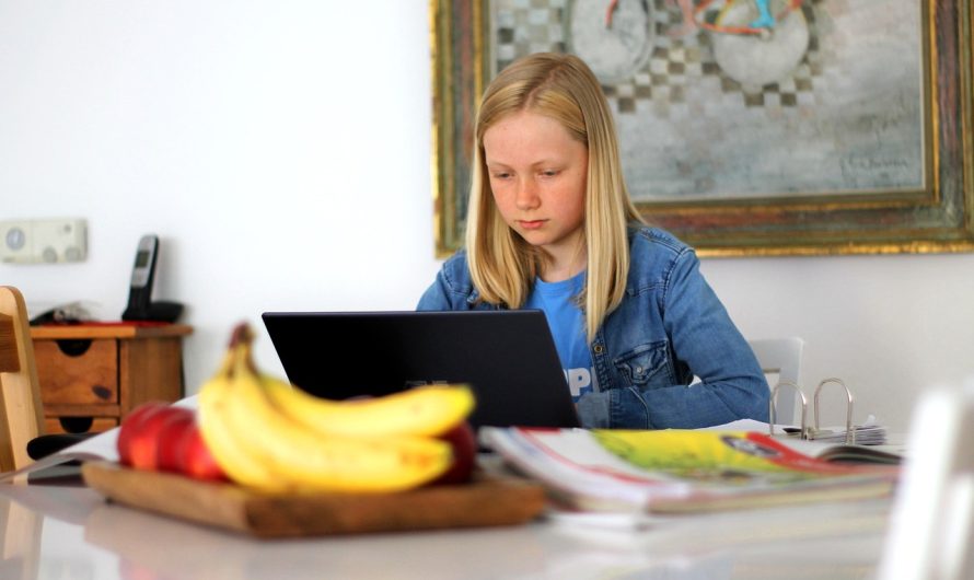 Ce este homeschooling-ul și dacă este legal în România