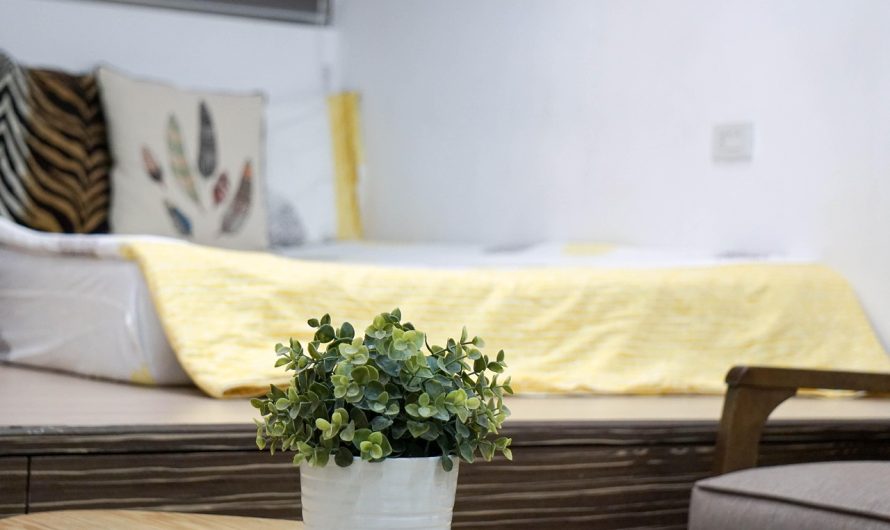 Cum influențează plantele aerul din dormitor