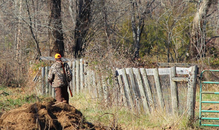 Ce trebuie să știi înainte de prima ieșire la vânătoare
